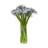 Agapanthus in Glass Vase