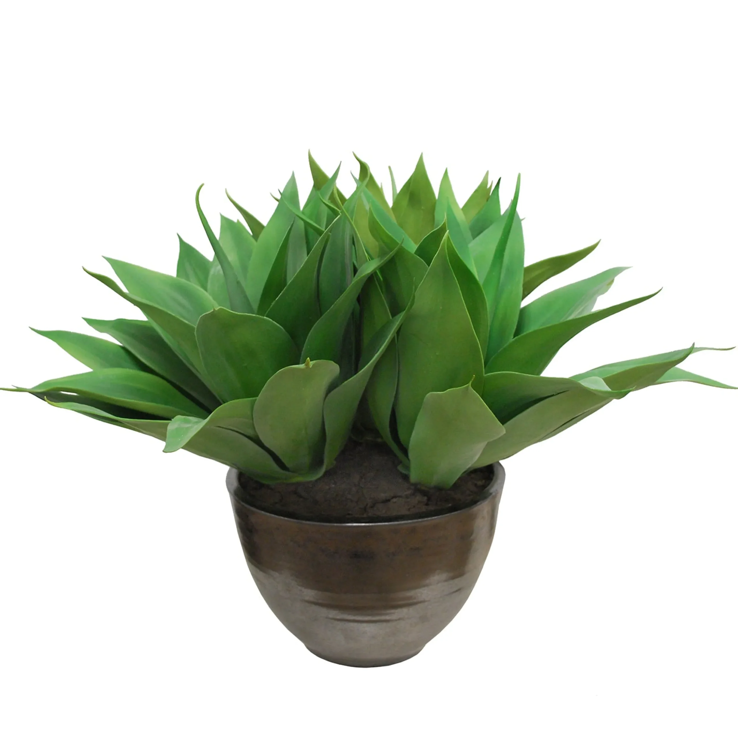 Aloe in Crete Bowl 22-inches tall