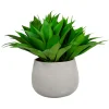 ALOE IN STONECAST PLANTER 25''