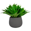 ALOE IN STONECAST PLANTER 25"