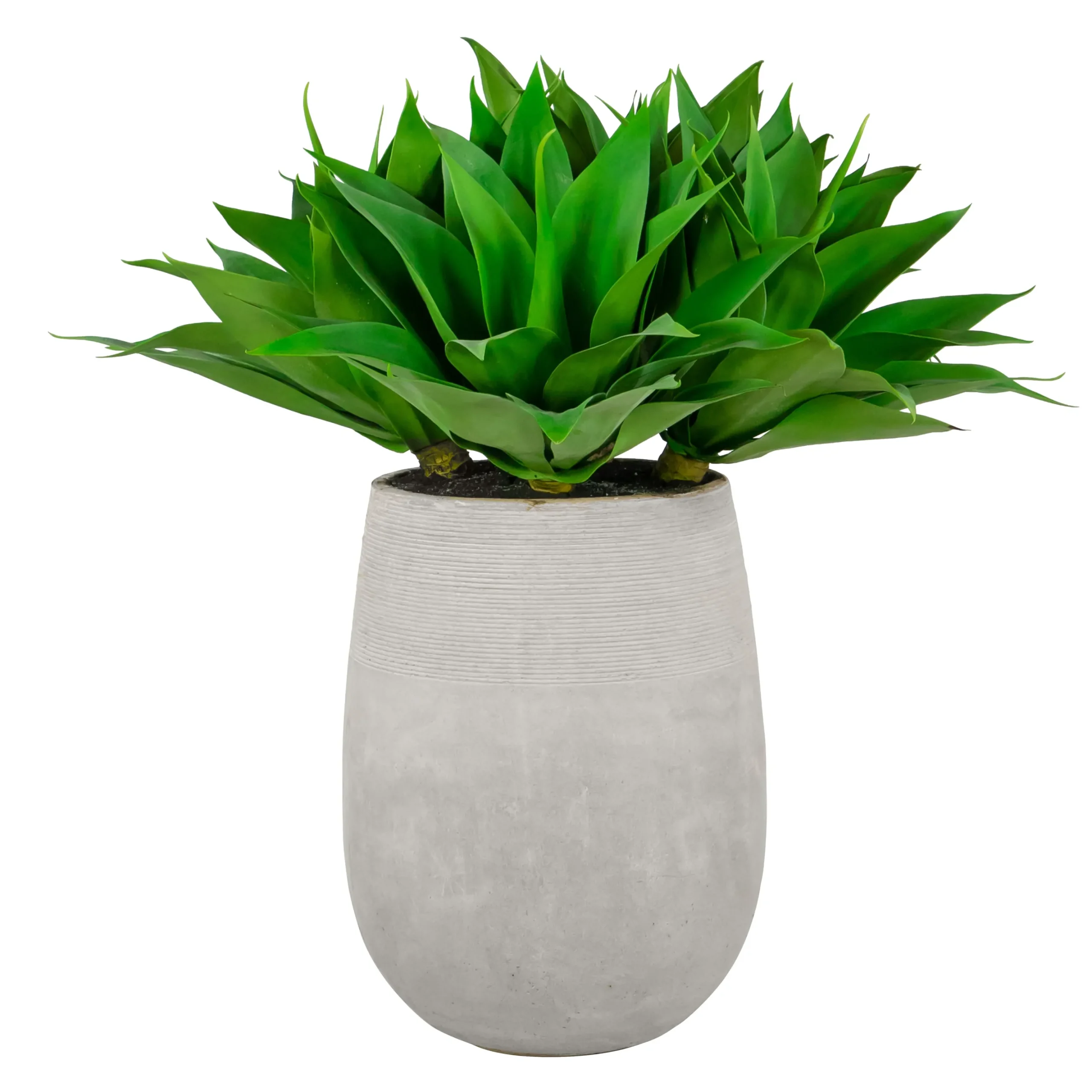 Aloe in Stonecast Planter 35"