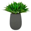 Aloe in Stonecast Planter 35"