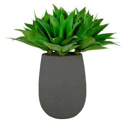 Aloe in Stonecast Planter 35"