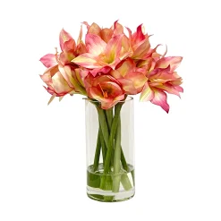 Amaryllis in Cylinder Vase 17"