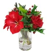 Amaryllis Rose in Vase 16"