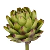 ARTICHOKE (set of 12)