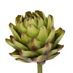 ARTICHOKE (set of 12)