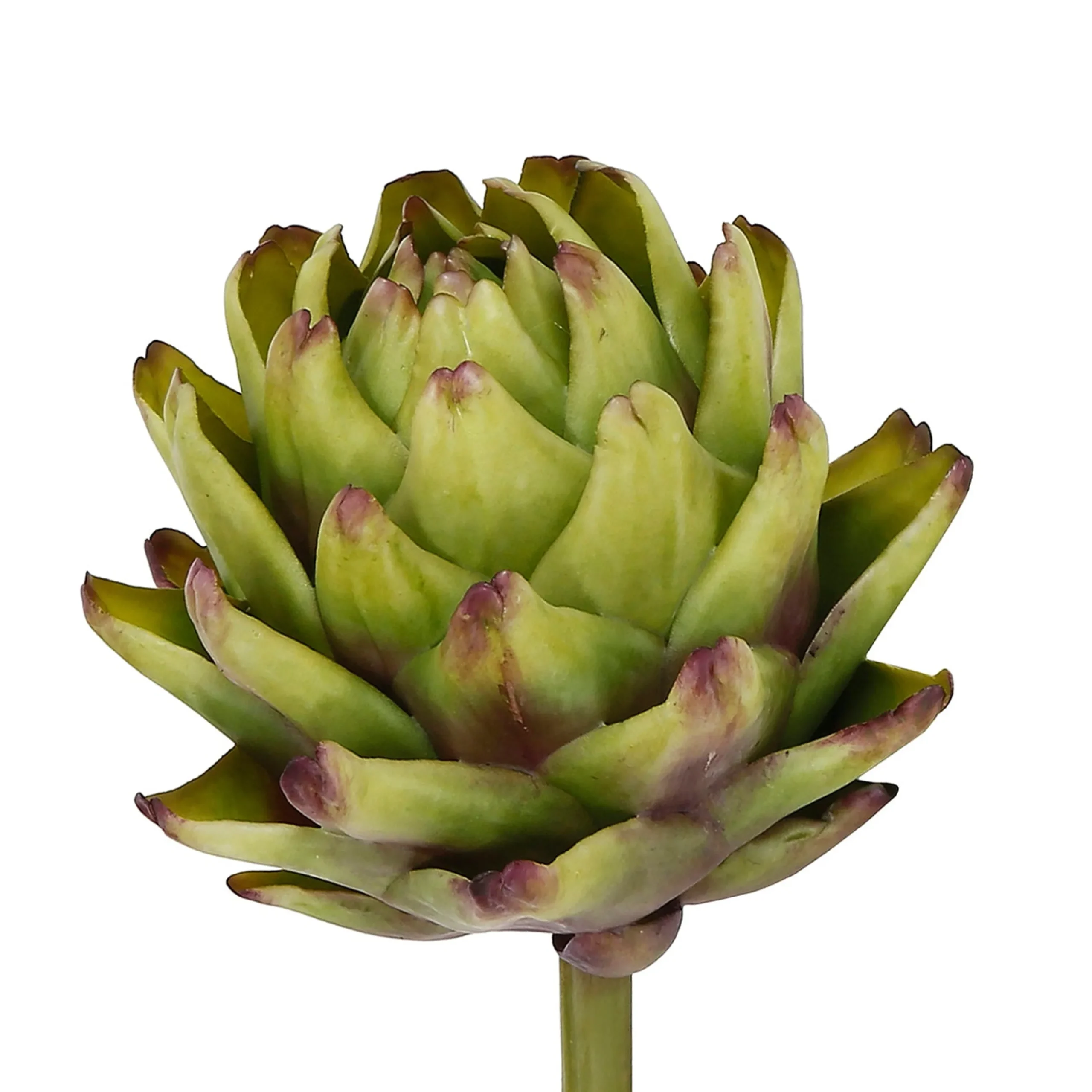 ARTICHOKE (set of 12)