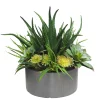 BASAL ALOE SUCCULENT PLANTER (WHD205-GYGR)