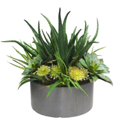 BASAL ALOE SUCCULENT PLANTER (WHD205-GYGR)