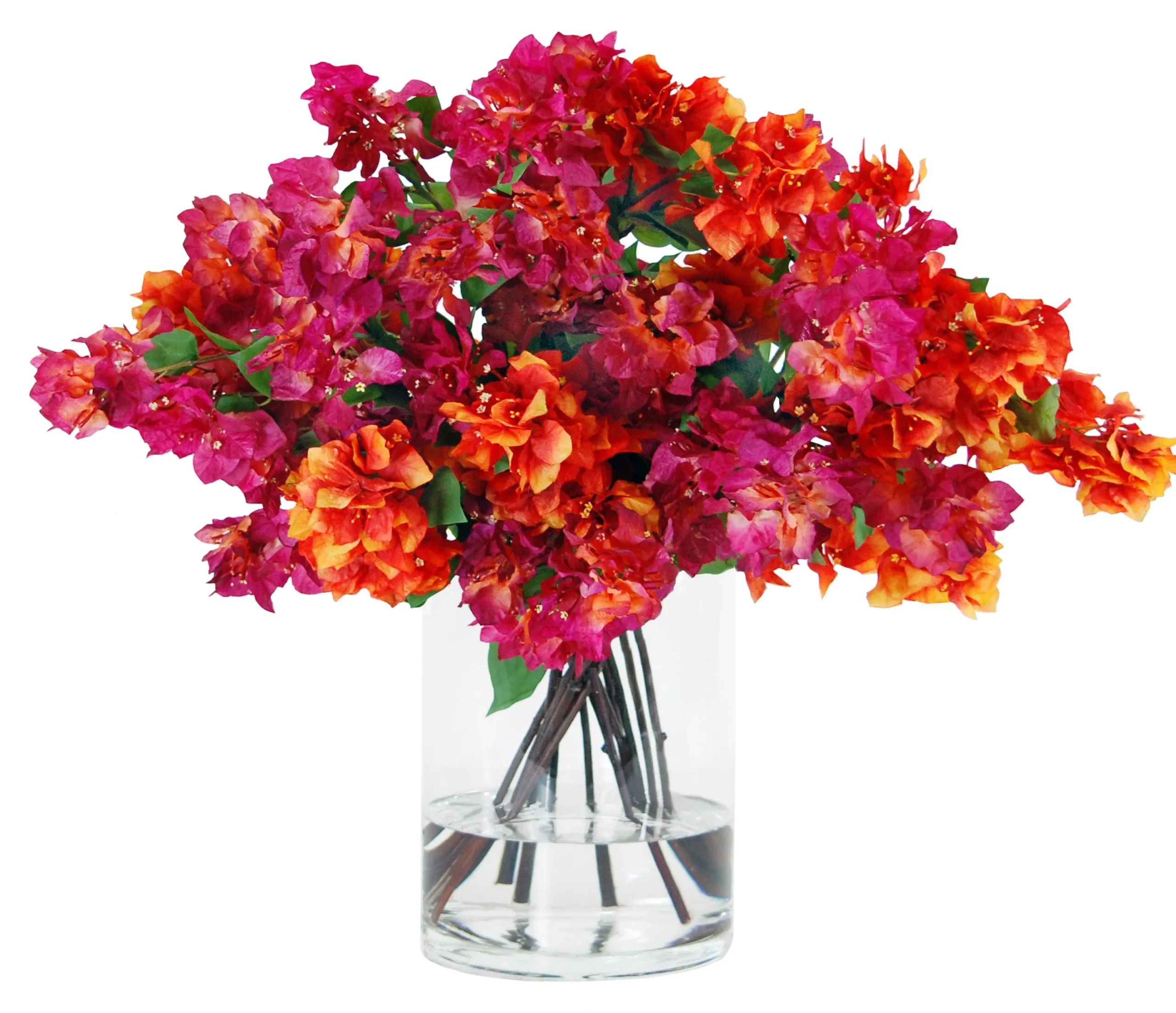 BOUGAINVILLEA IN VASE 34"