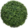 BOXWOOD BALL 20"