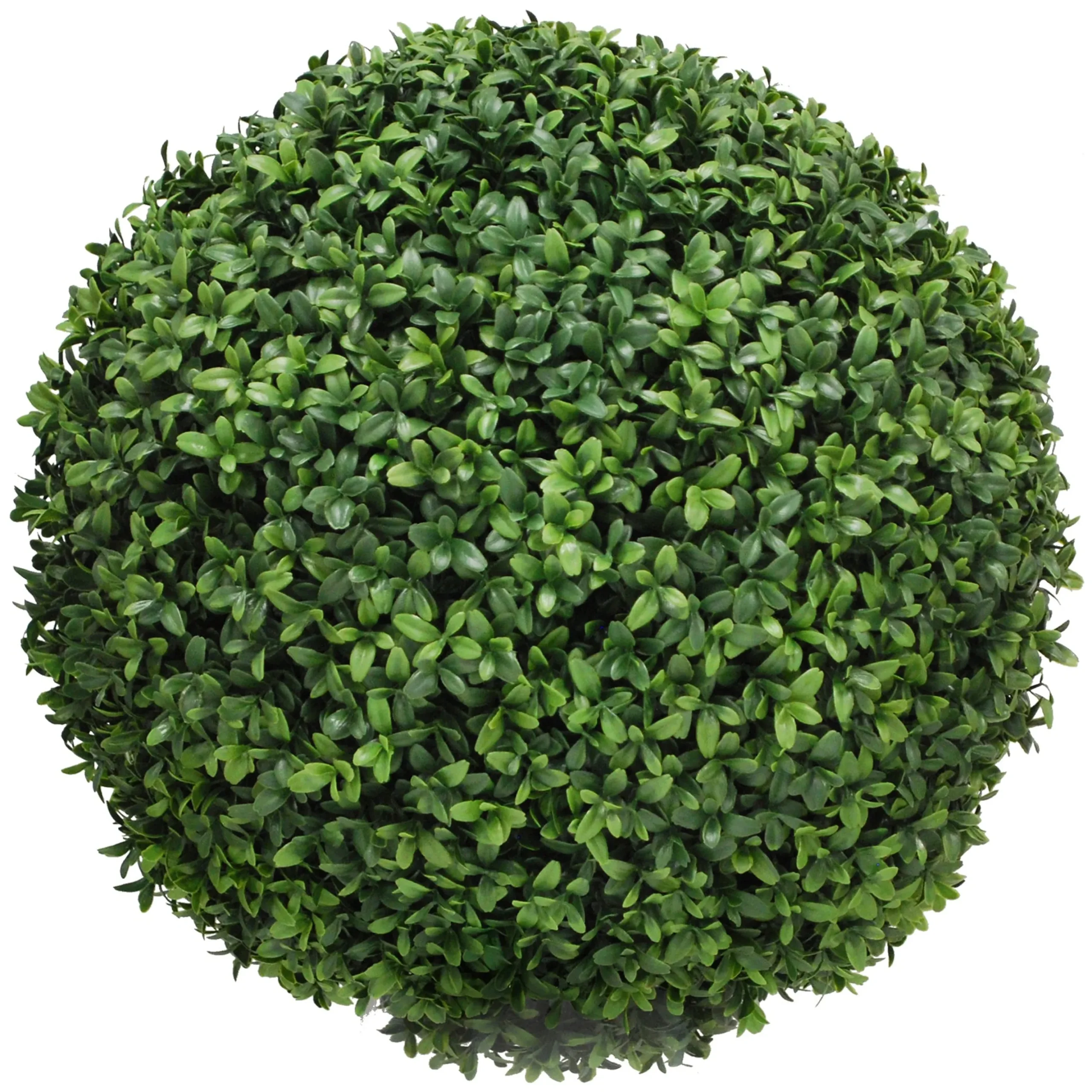 BOXWOOD BALL 20"