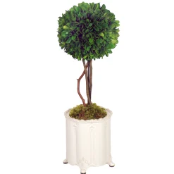BOXWOOD BALL TOPIARY IN CANISTER VASE (WHD117-GR)