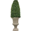 Boxwood Bullet in Urn 69"
