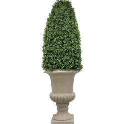 Boxwood Bullet in Urn 69"