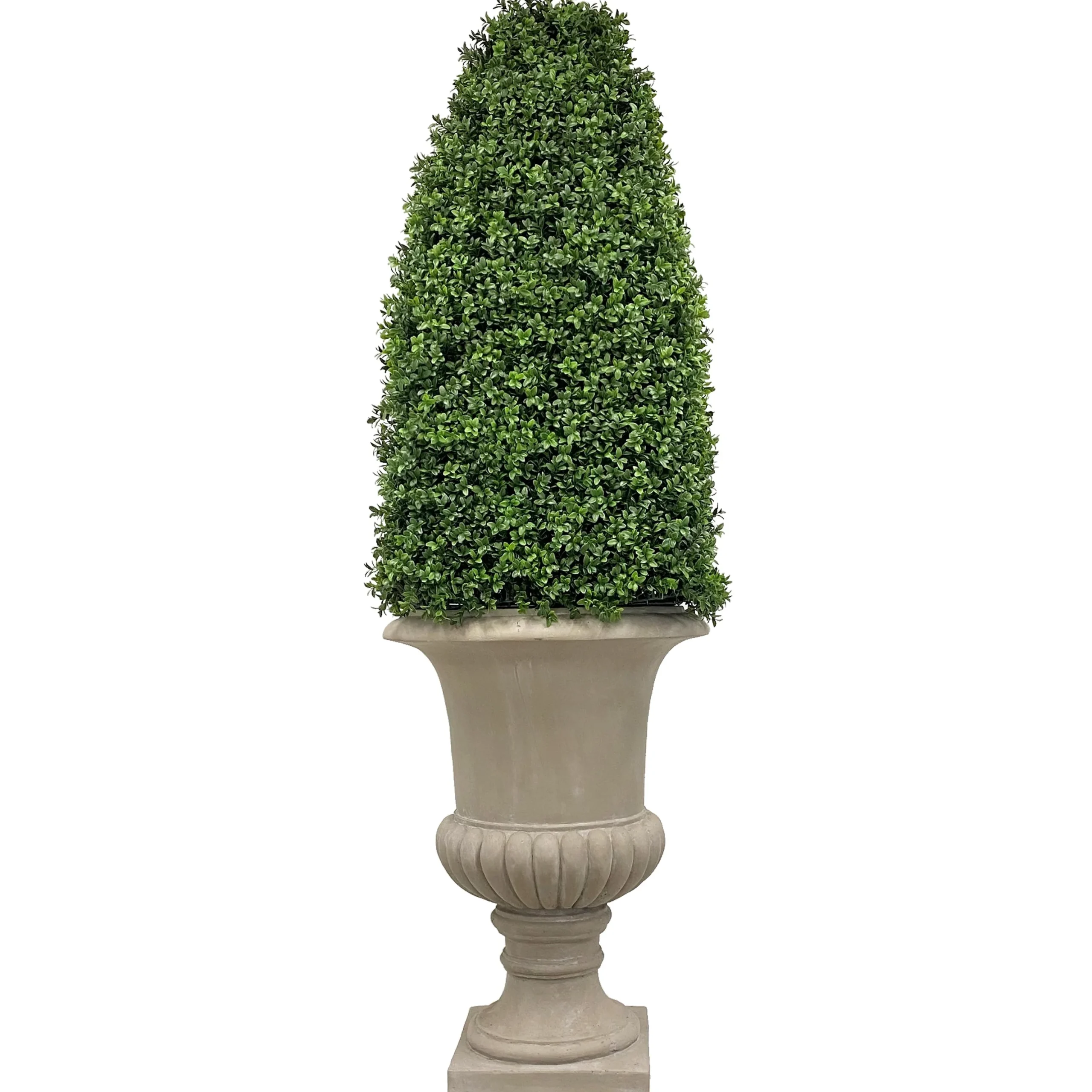 Boxwood Bullet in Urn 69"