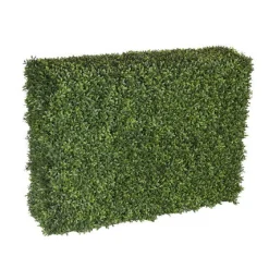 Boxwood Hedge 39" wide