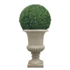 Boxwood in Urn 50"