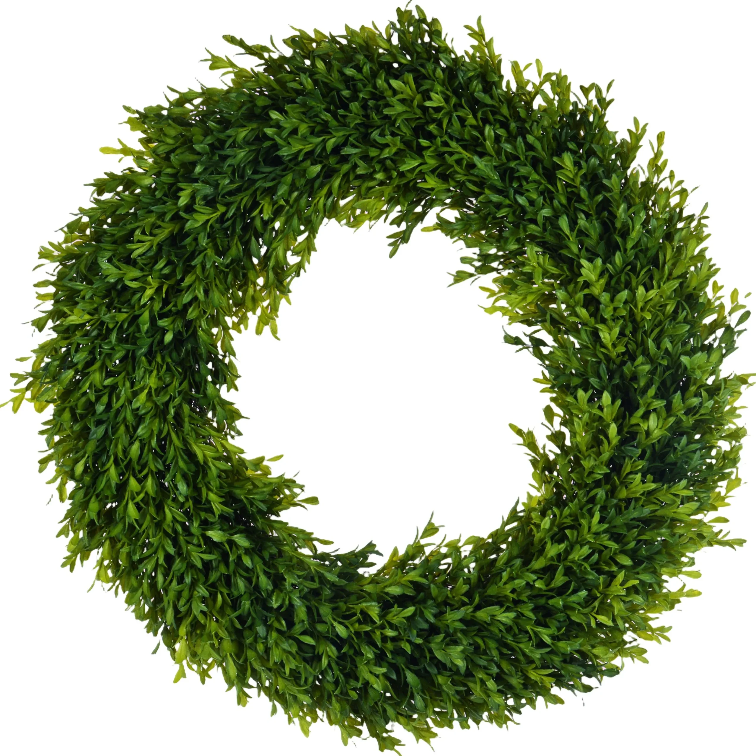 Boxwood Wreath 24''
