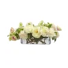 Café au Lait Combo in Vase 25" wide