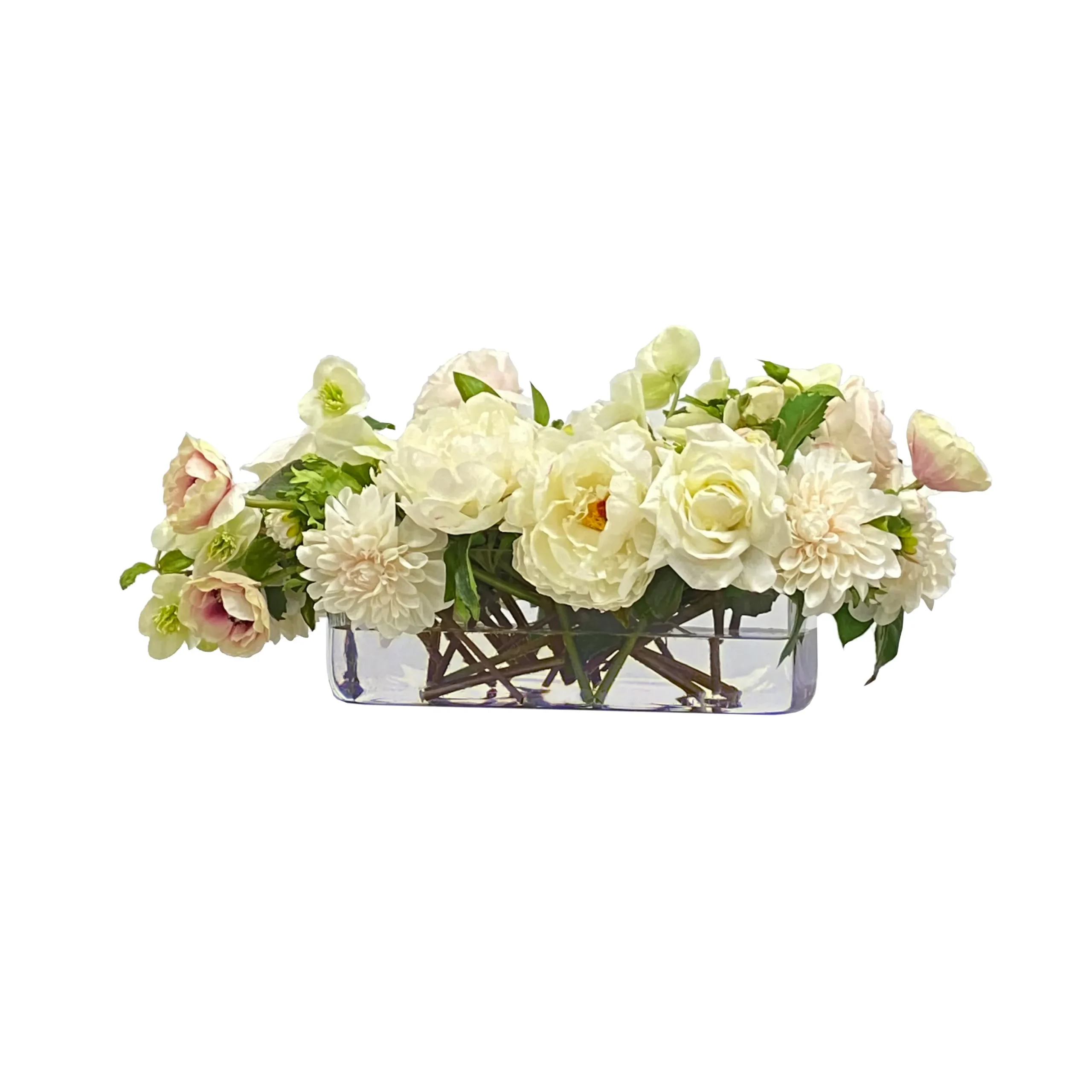 Café au Lait Combo in Vase 25" wide