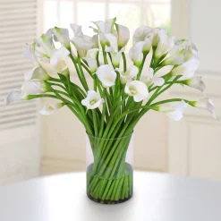 Calla Lily in Clear Cylinder Vase 30”