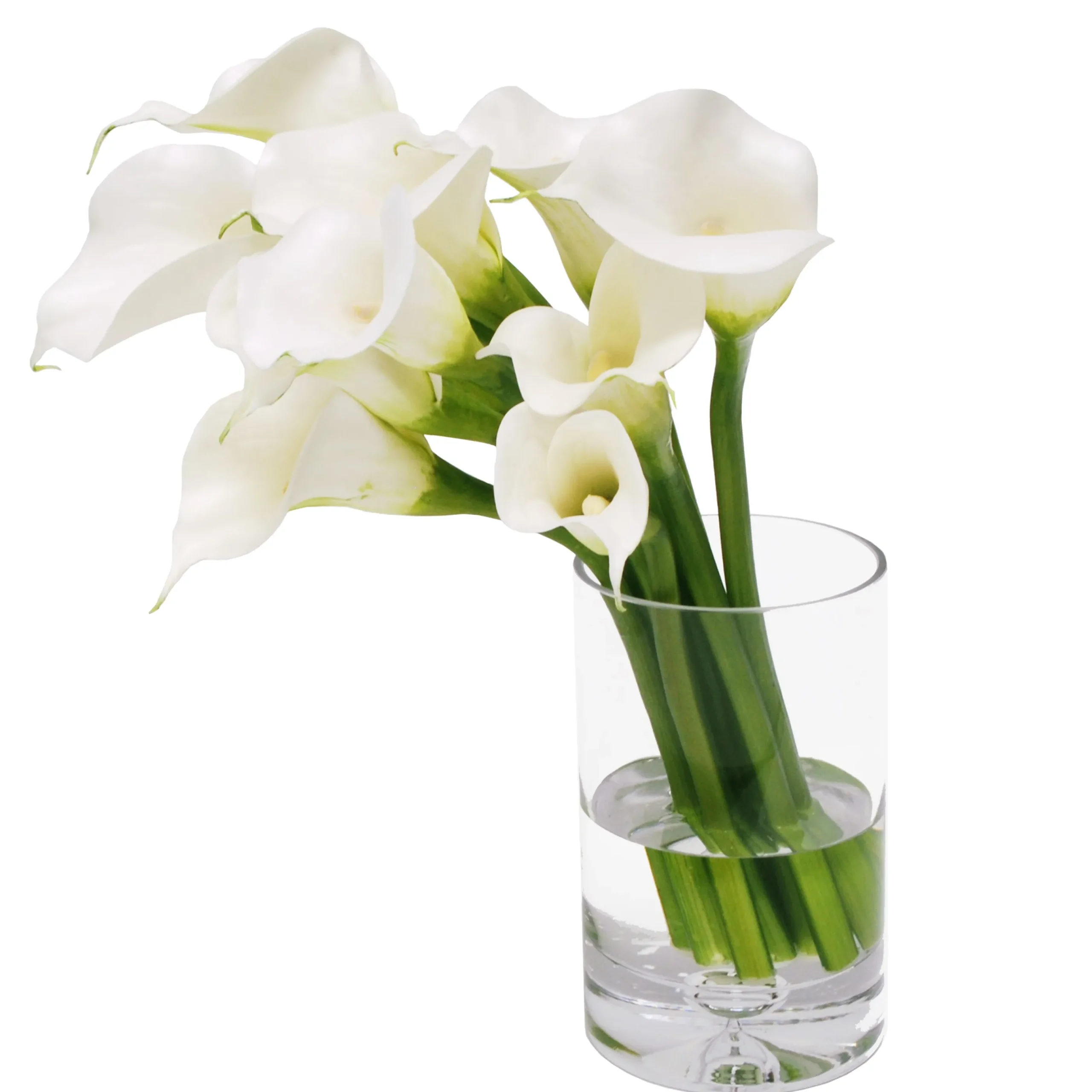 CALLA LILY IN CYLINDER VASE 18"