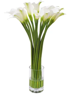 Calla Lily in Cylinder Vase 29"