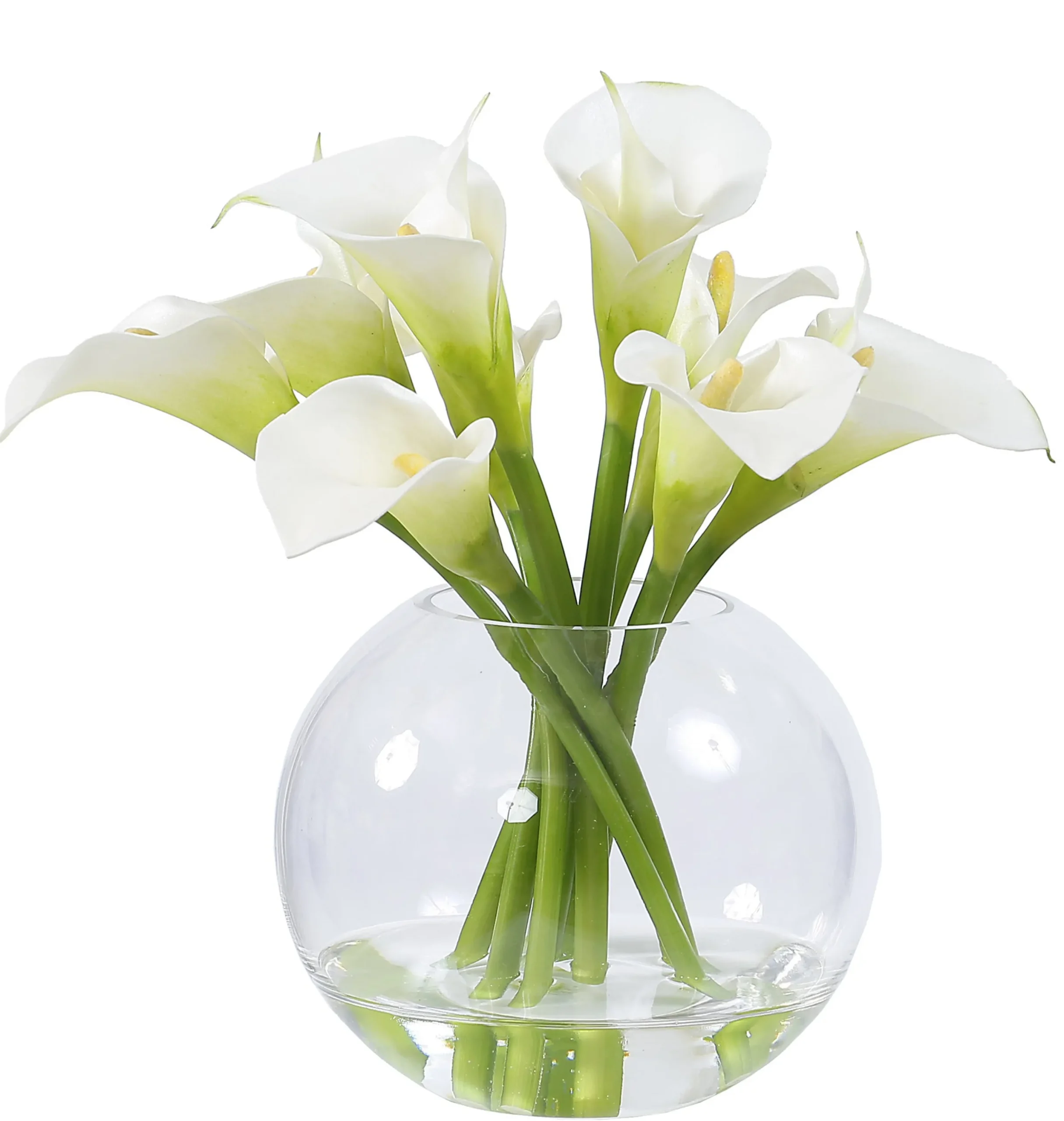 Calla Lily in Glass 11"