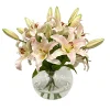 Casablanca in Glass Bowl 16"