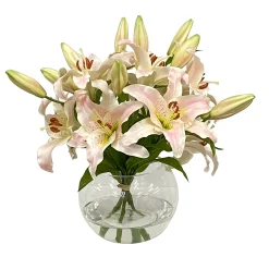 Casablanca in Glass Bowl 16"