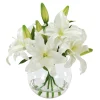 Casablanca in Glass Bowl 16"