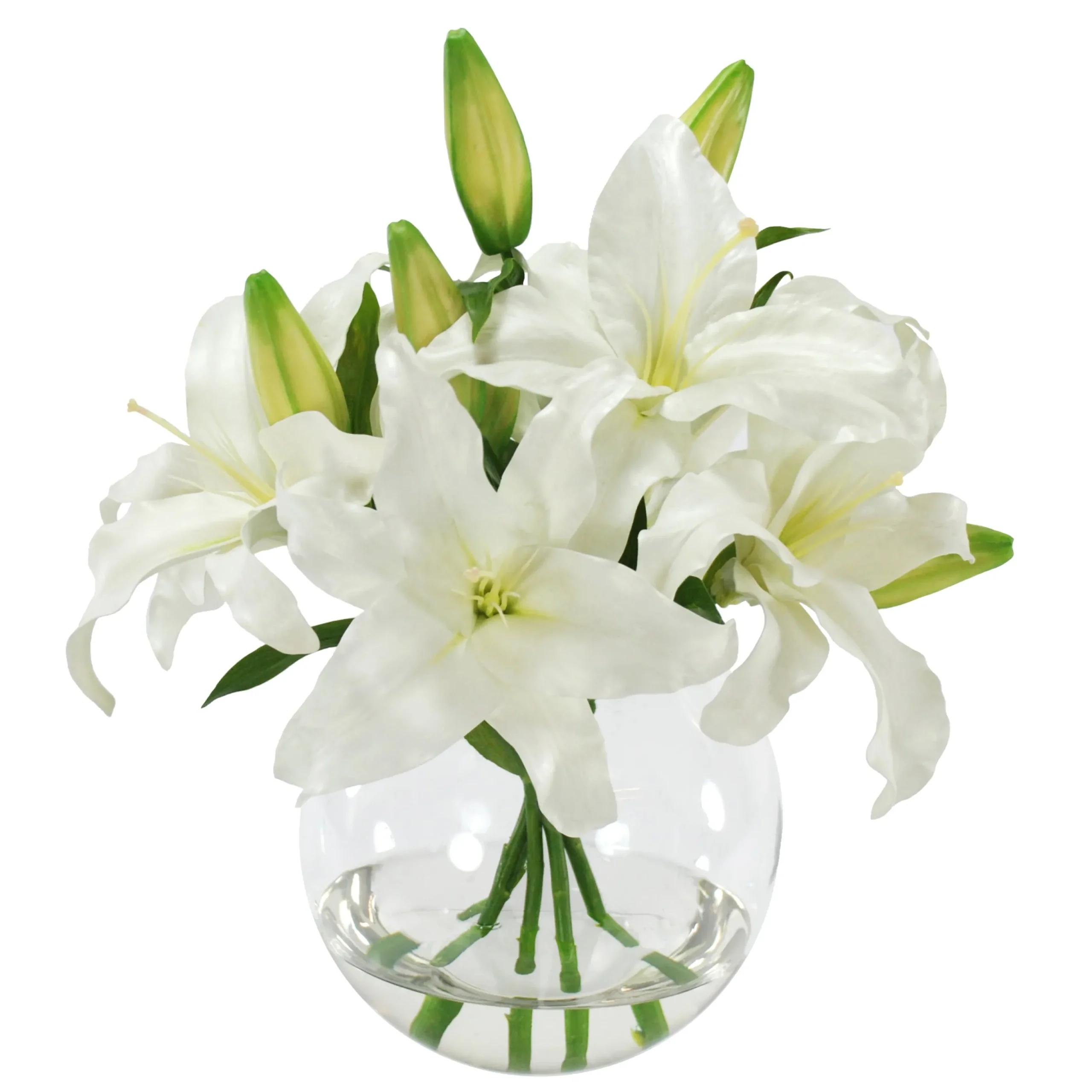 Casablanca in Glass Bowl 16"