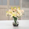 CASABLANCA LILY IN VASE (DP743-LP)