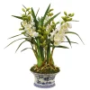 Cymbidium Orchid in Oval Pot 27"
