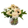 Dahlia Anemone in Glass 12"
