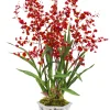 Dancing Lady Orchid in Rose Trellis Cache Pot 36"