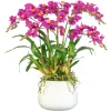 DANCING ORCHID IN DURIAN CACHE POT (WHD243-OH)