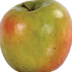 DELICIOUS GOLDEN APPLE (set of 6)