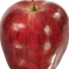 DELICIOUS RED APPLE (set of 6)