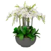 Deluxe Orchids in Bowl 34"