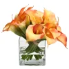 DUAL CALLA IN CUBE (WHD242-OR)
