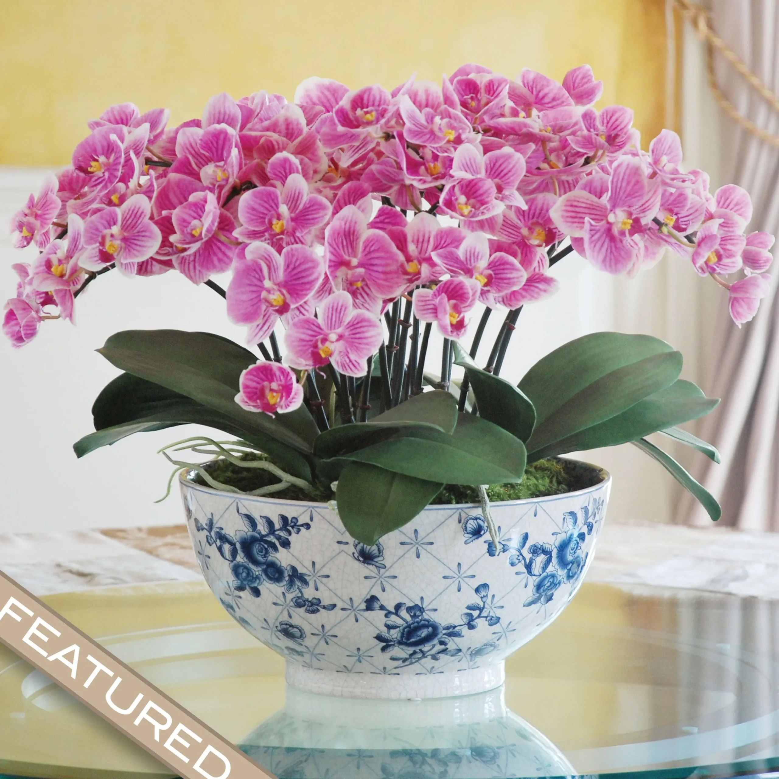 ECLECTIC PHALAENOPSIS ORCHID CENTERPIECE (DP770-PUWH)