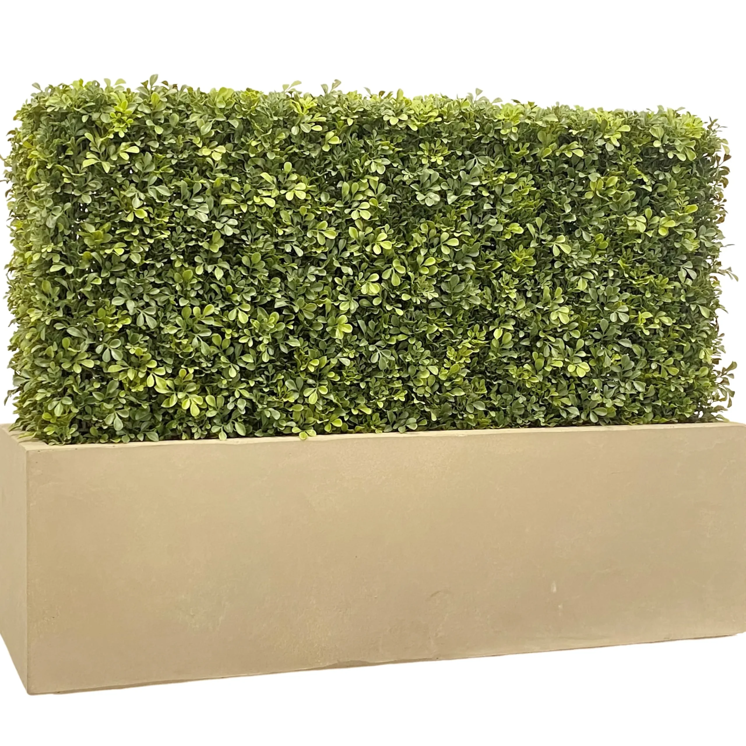 Faux Boxwood Hedge in Planter 30"