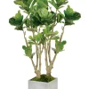 Fiddle Leaf Fig Tree in Square Planter 4.5'