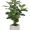 FIDDLE LEAF FIG TREE IN SQUARE PLANTER 4'