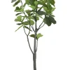 FIDDLE LEAF FIG TREE IN SQUARE PLANTER 6'