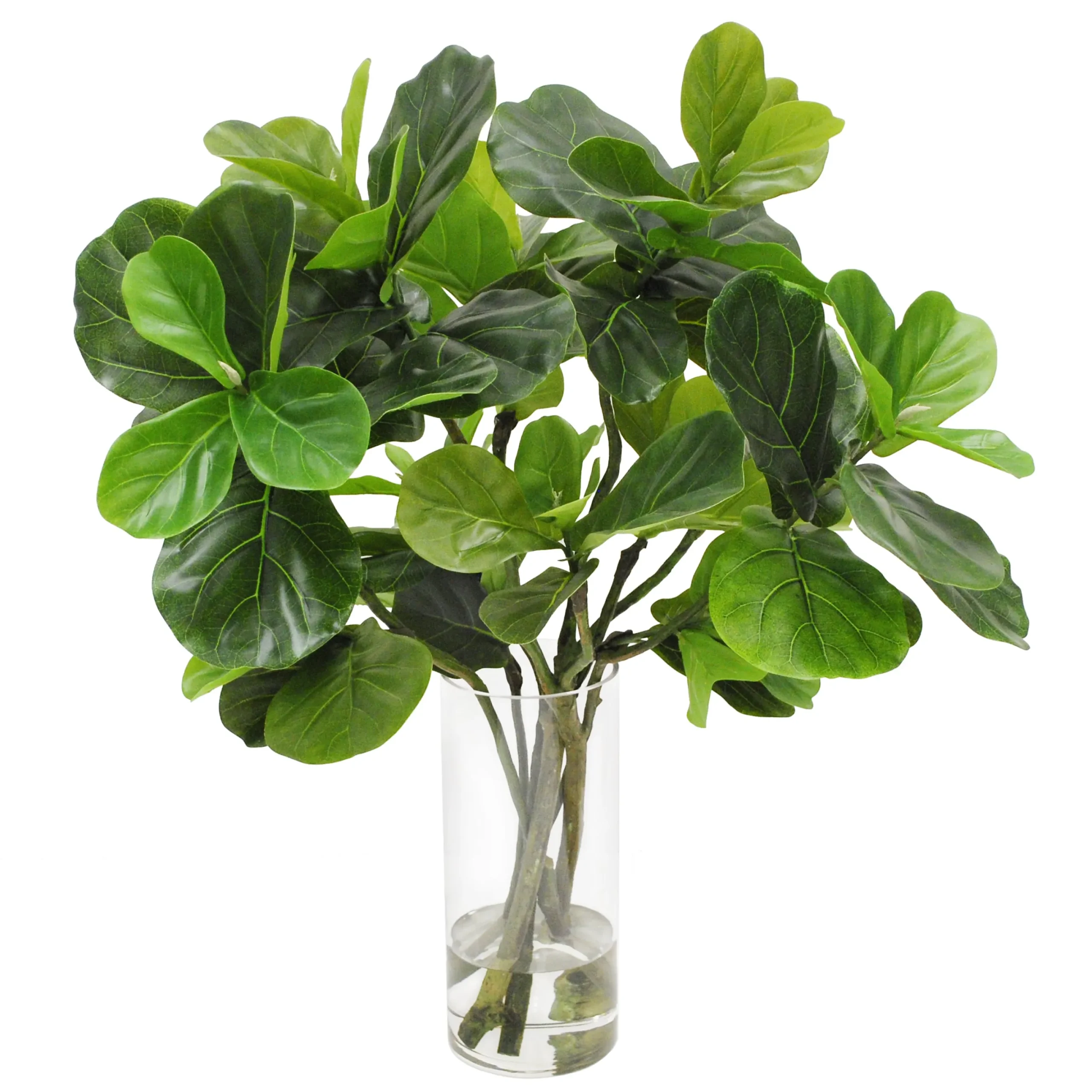 FIDDLE LEAF IN ROUND VASE 36"