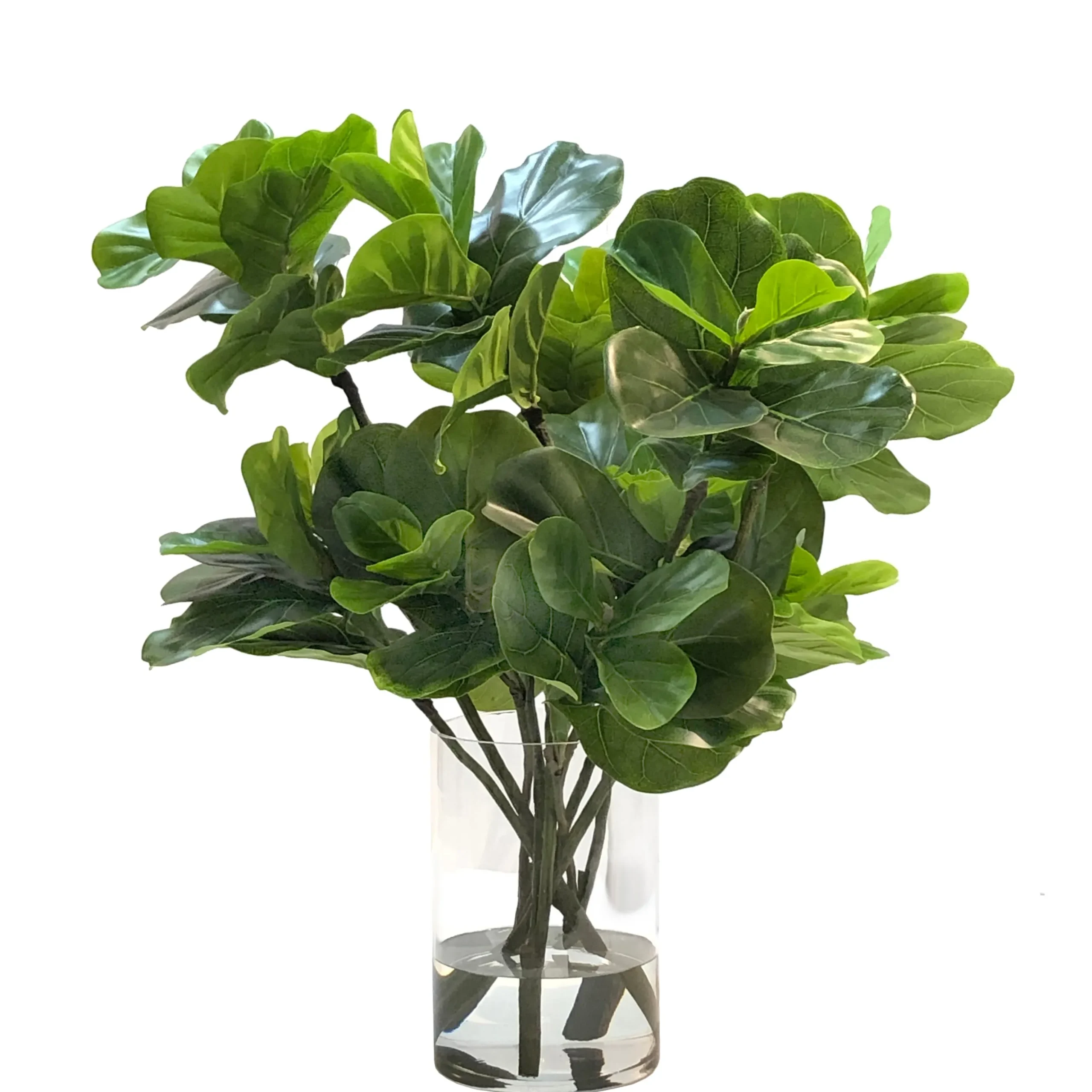 Fiddle Leaf in Vase 33"